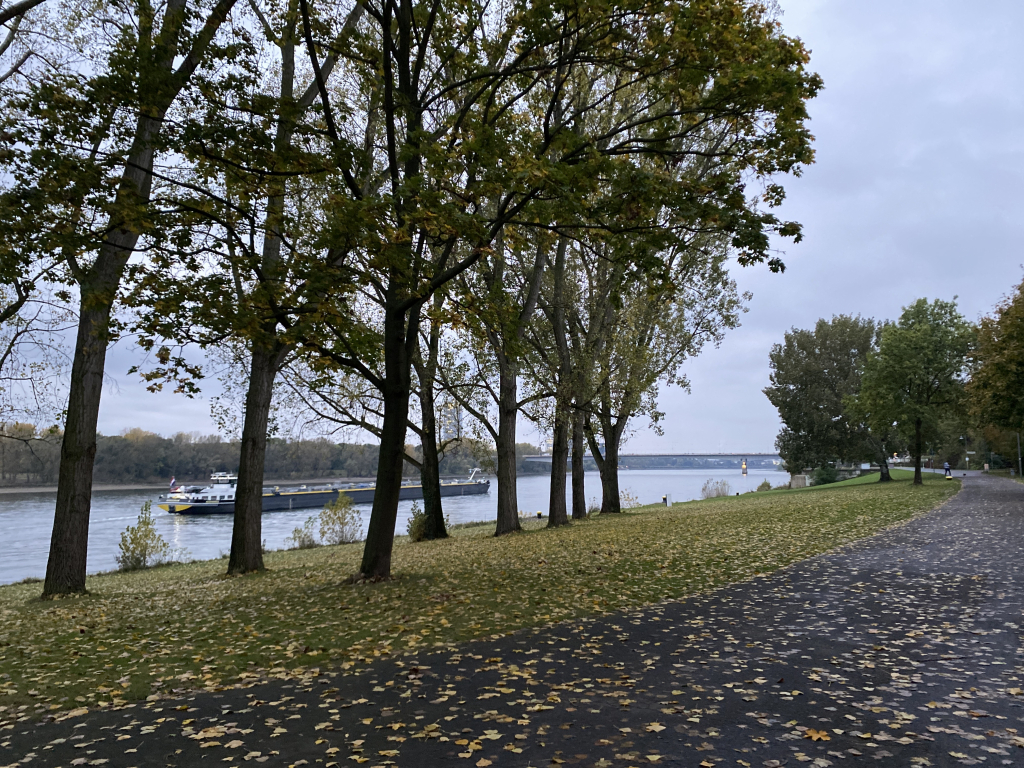 2023-10-26 Rhein 0028 k.JPG